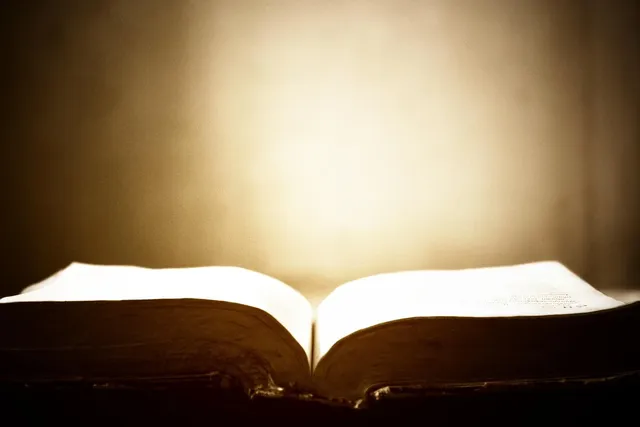 Load image into Gallery viewer, You Got This: 90 Devotions to Equip &amp; Empower Hardworking Women
